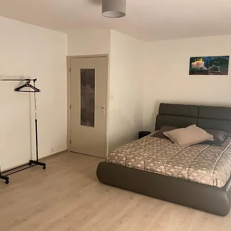 « chez Falco » Vue Sur Le Chateau Schirmeck